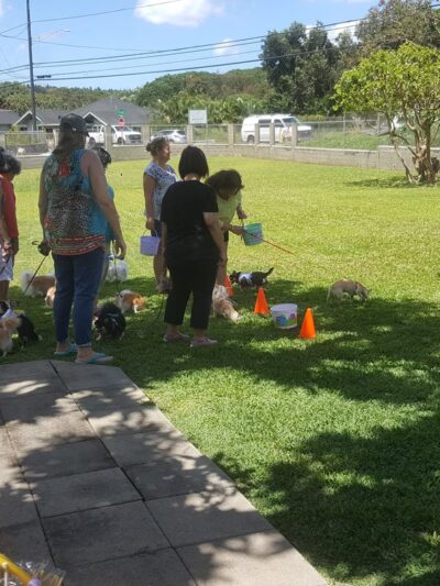 Nalowinds Kennels - Waimanalo, HI