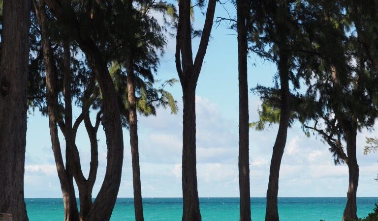 Waimanalo Beach - Waimanalo, HI