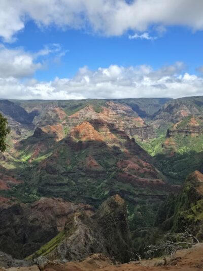 Waimea Canyon State Park - Waimea, HI