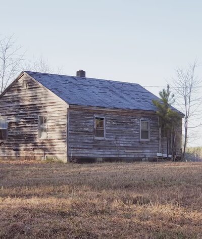 Big Woods Wildlife Management Area - Wakefield, VA