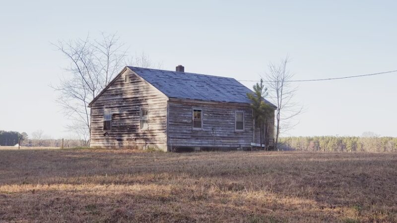 Big Woods Wildlife Management Area - Wakefield, VA