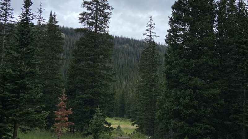 Lake Agnes Trailhead - Walden, CO