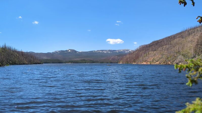 State Forest State Park - Walden, CO