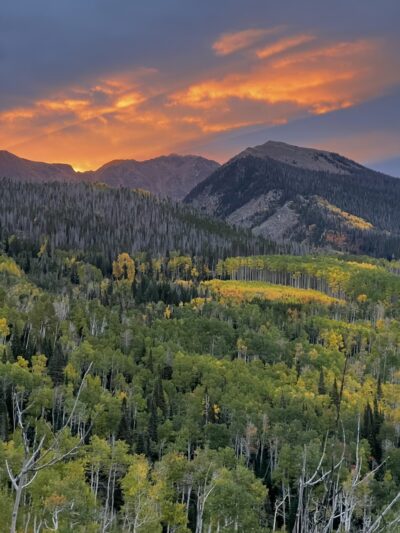 State Forest State Park - Walden, CO