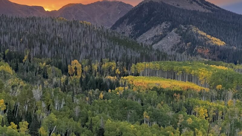 State Forest State Park - Walden, CO