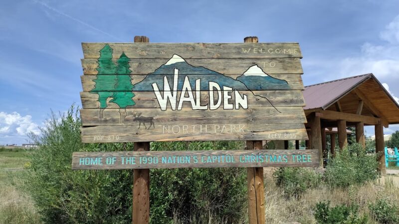 Wildlife Watching in North park - Walden, CO