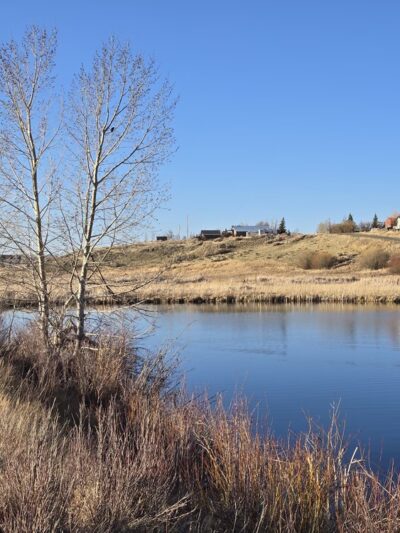 Wildlife Watching in North park - Walden, CO