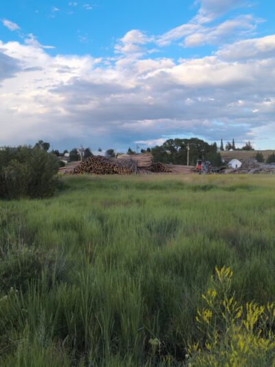 Wildlife Watching in North park - Walden, CO