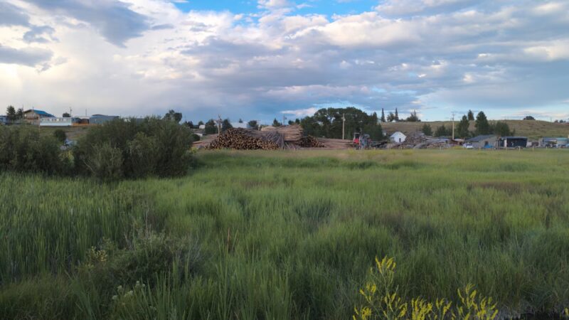 Wildlife Watching in North park - Walden, CO