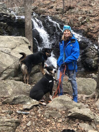 A.H. Dog Training LLC - Waldwick, NJ