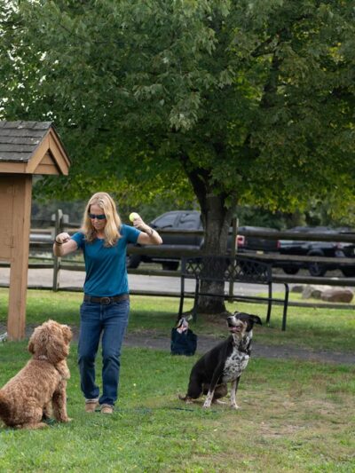 A.H. Dog Training LLC - Waldwick, NJ