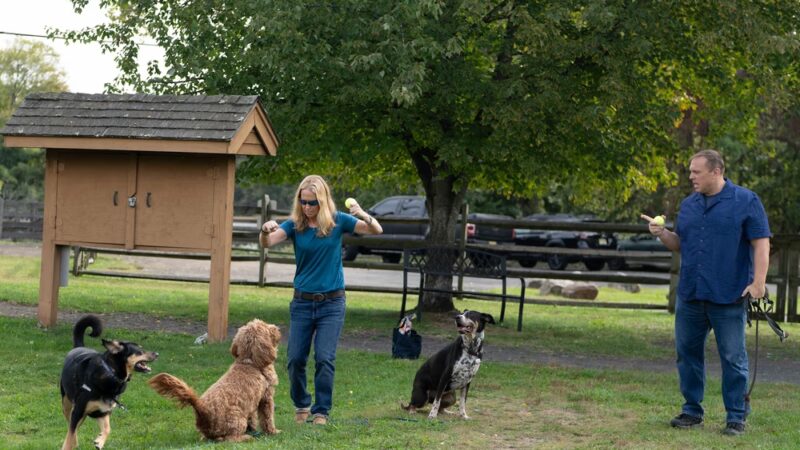 A.H. Dog Training LLC - Waldwick, NJ