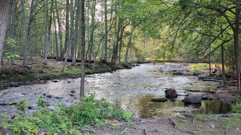 Borough Park - Waldwick, NJ