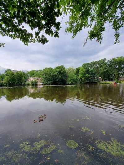 Borough Park - Waldwick, NJ