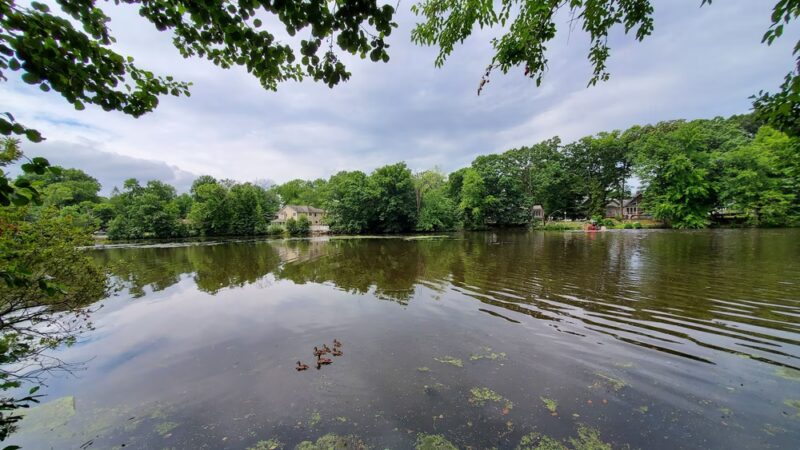 Borough Park - Waldwick, NJ