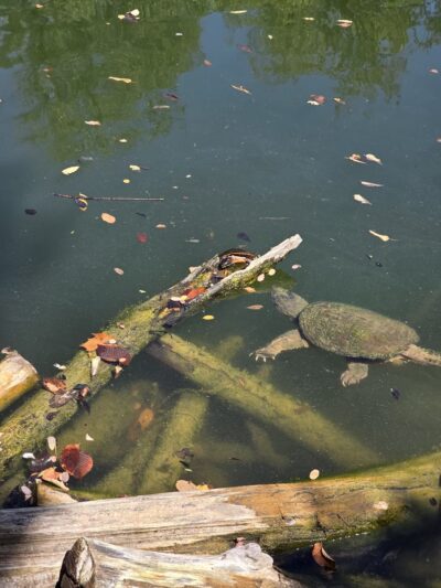 Fountain Rock Park Parking Area - Walkersville, MD