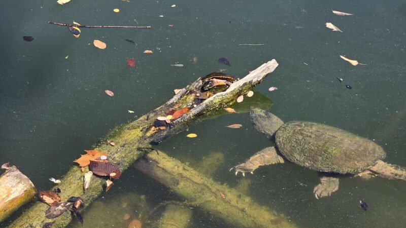 Fountain Rock Park Parking Area - Walkersville, MD