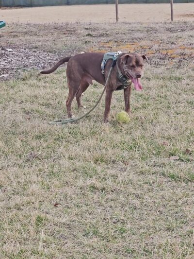 Scarborough Park - Walkerton, IN