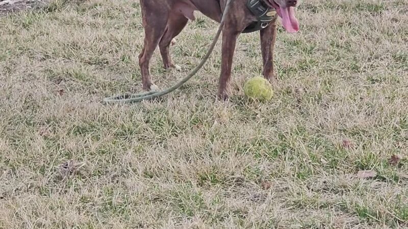 Scarborough Park - Walkerton, IN