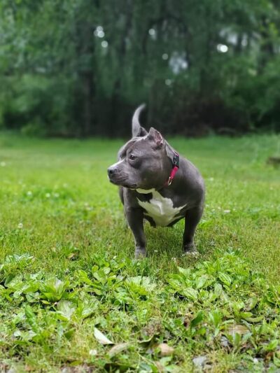 Walkerton Park & Recreation - Walkerton, IN