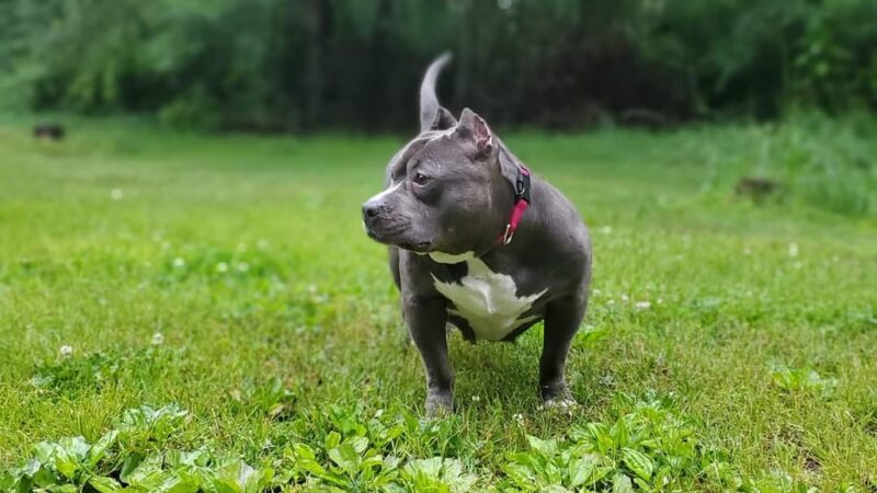 Walkerton Park & Recreation - Walkerton, IN