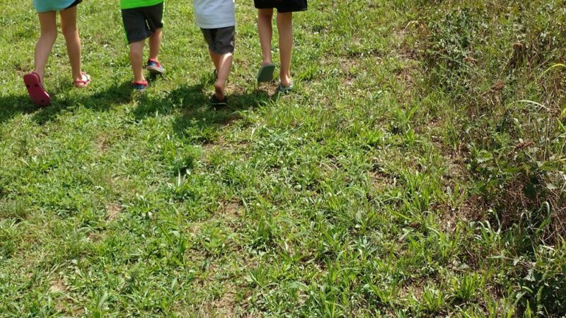 Walkerton Park & Recreation - Walkerton, IN