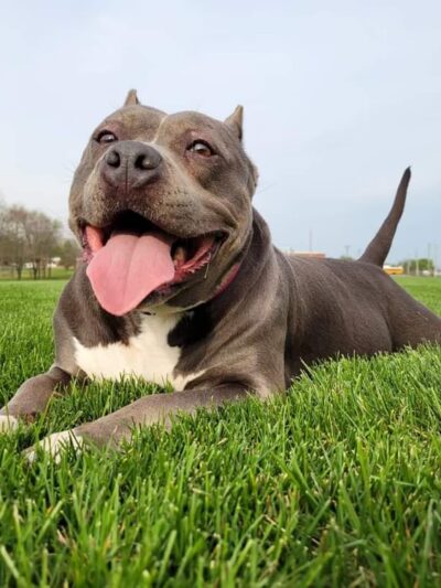 Walkerton Park & Recreation - Walkerton, IN