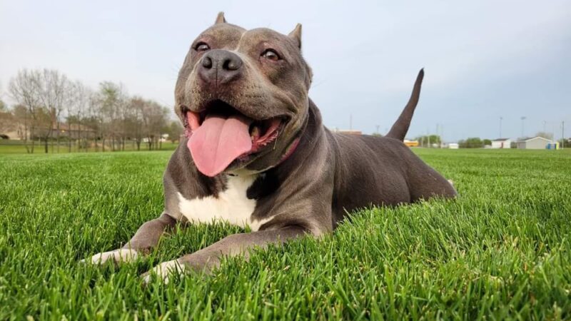 Walkerton Park & Recreation - Walkerton, IN