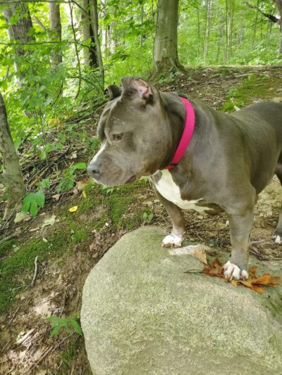 Walkerton Park & Recreation - Walkerton, IN