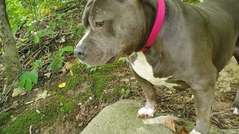 Walkerton Park & Recreation - Walkerton, IN