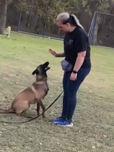 Windy Ridge K9 - Walkerton, VA