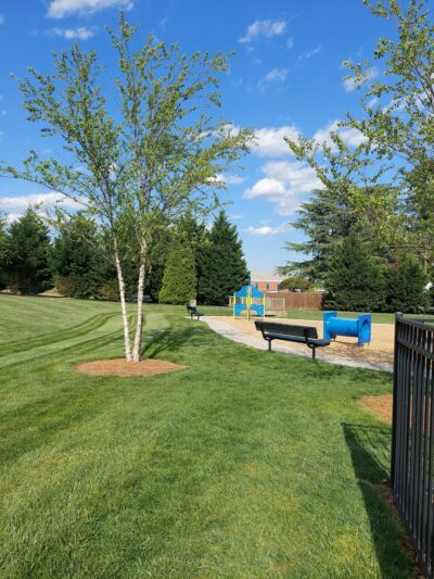 Walkertown Town Center Park - Walkertown, NC