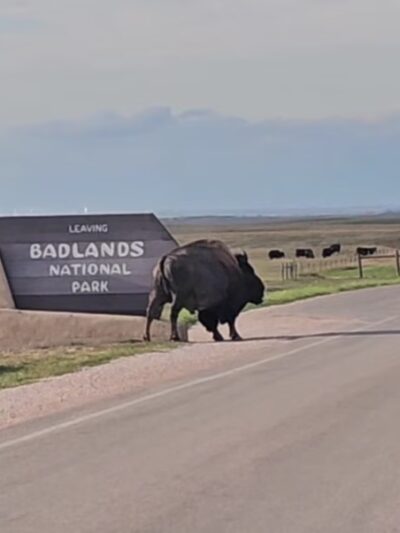 Badlands National Park Sign - Wall, SD