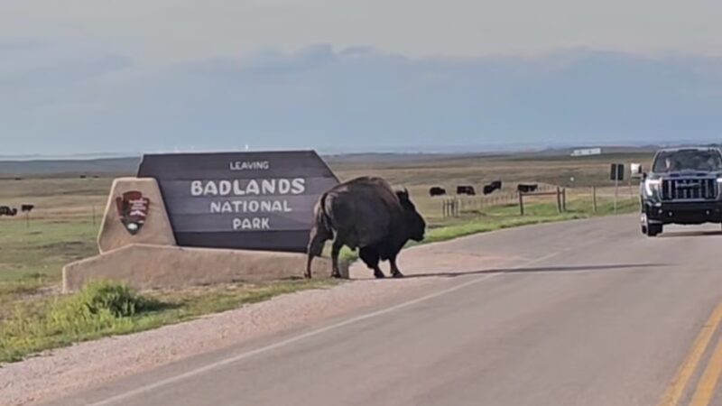 Badlands National Park Sign - Wall, SD
