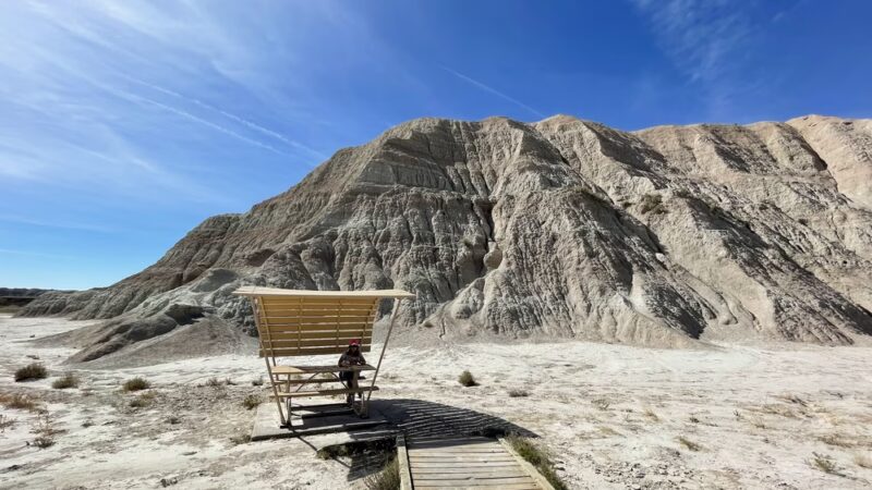 Conata Picnic Area - Wall, SD