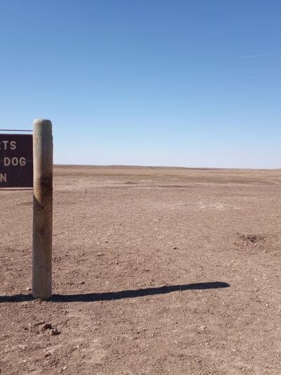 Roberts Prairie Dog Town - Wall, SD