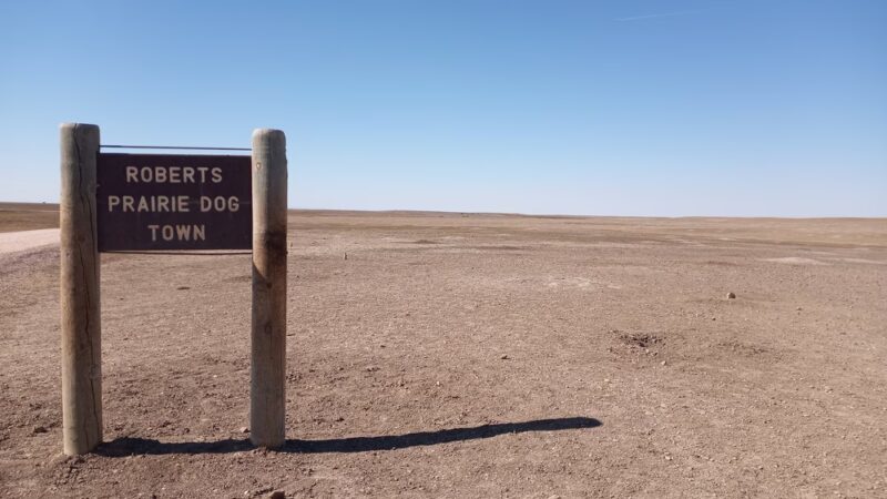 Roberts Prairie Dog Town - Wall, SD