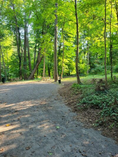 Furness Park - Wallingford, PA