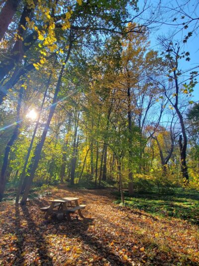 Furness Park - Wallingford, PA