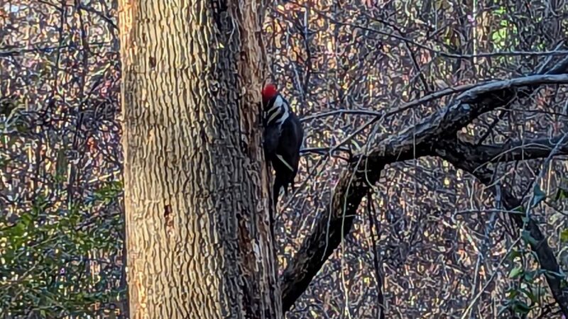 Furness Park - Wallingford, PA