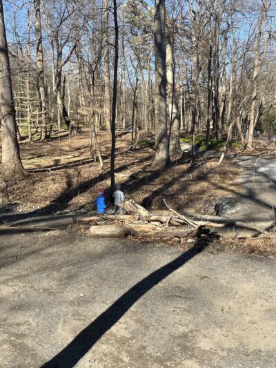 Furness Park - Wallingford, PA