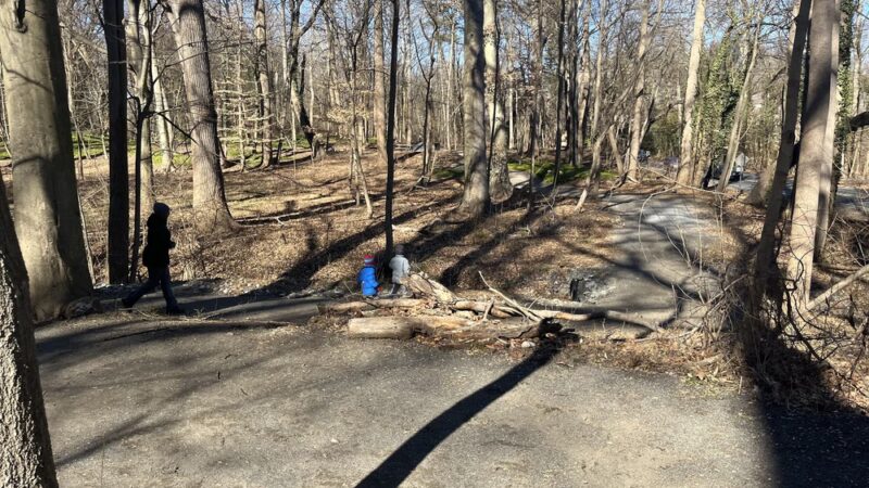 Furness Park - Wallingford, PA