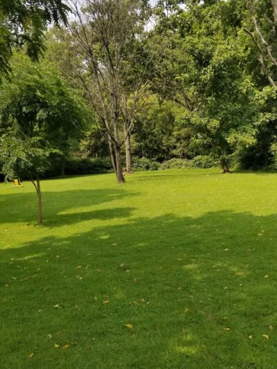 Leiper Park - Wallingford, PA