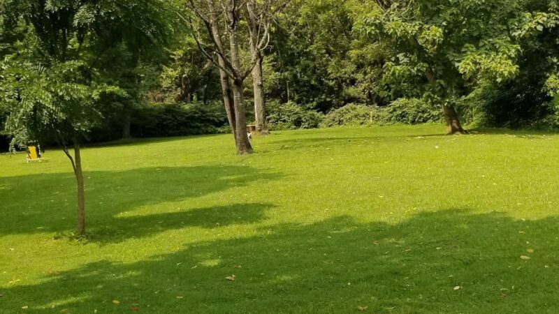 Leiper Park - Wallingford, PA