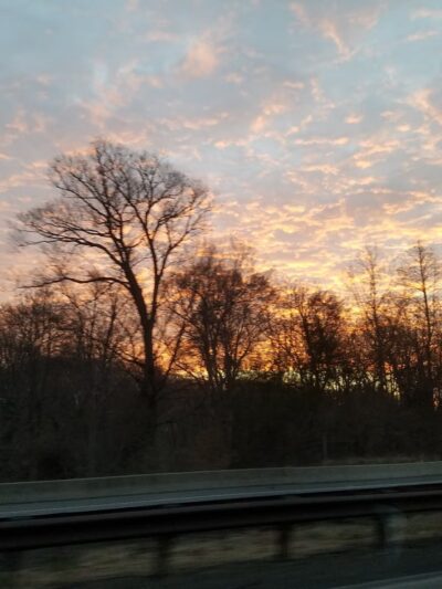 Leiper Park - Wallingford, PA