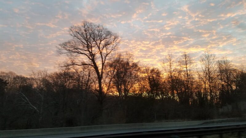 Leiper Park - Wallingford, PA