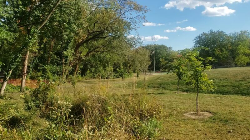 Sapovits Park - Wallingford, PA