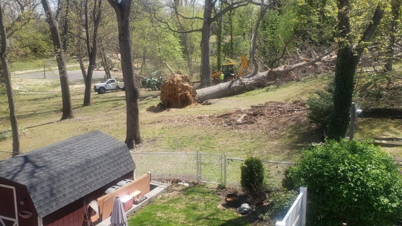 Sapovits Park - Wallingford, PA