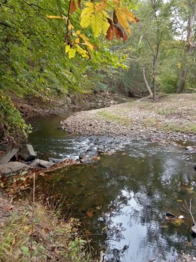 Smedley-Leiper Trail - Avondale Trailhead - Wallingford, PA
