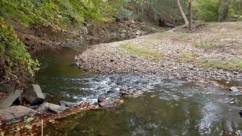 Smedley-Leiper Trail - Avondale Trailhead - Wallingford, PA